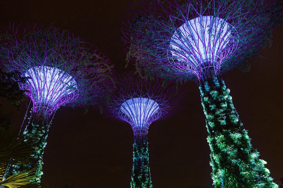 Supertree Grove at Gardens by the Bay
